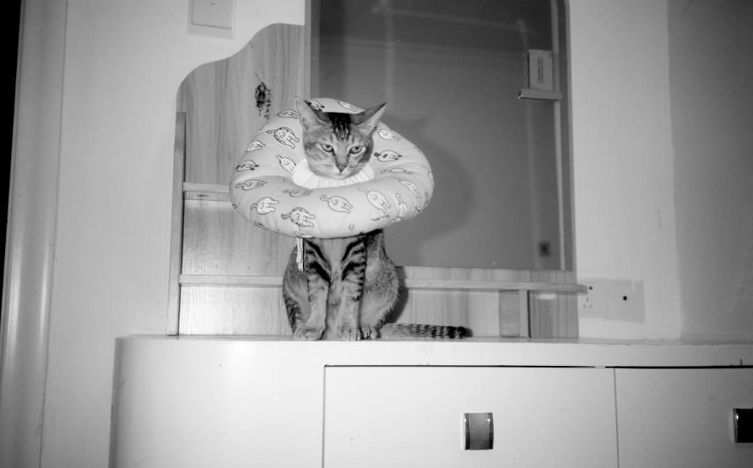 擦亮眼!警觉“围猎”圈套!